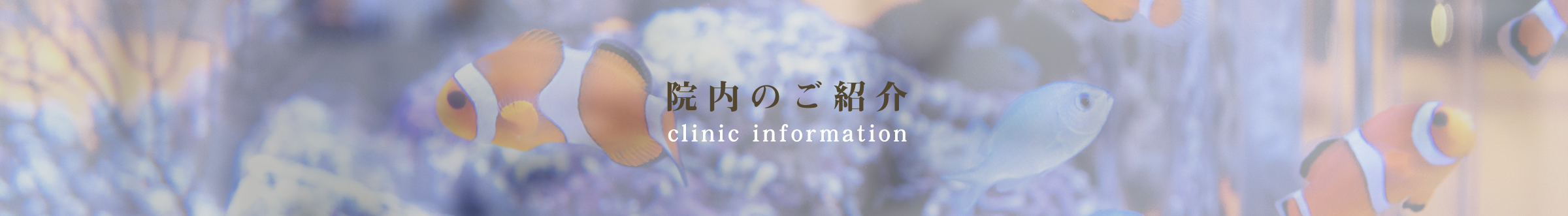 院内のご紹介